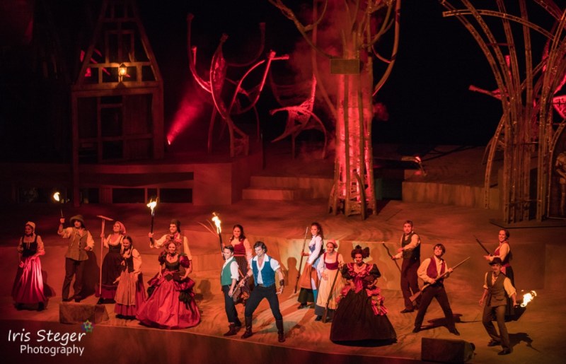 Ensemble "Die Schöne und das Biest"