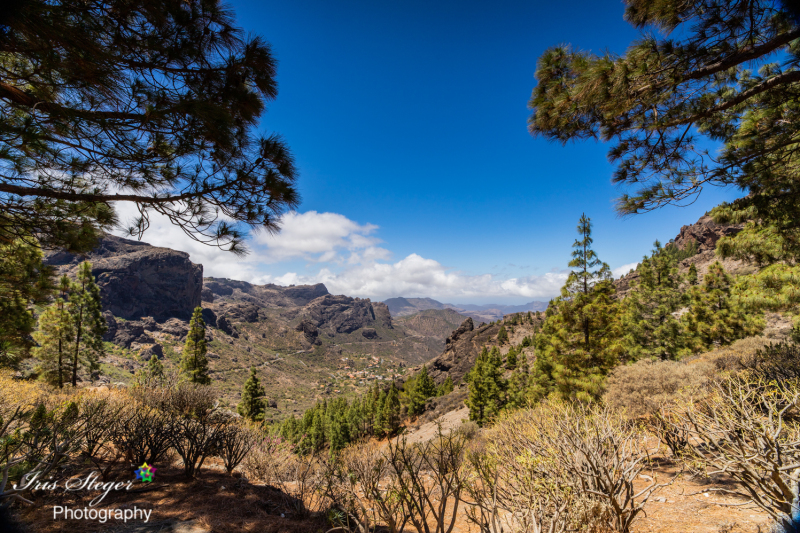 Richtung Roque Nublo