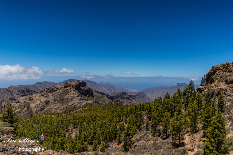 Richtung Roque Nublo