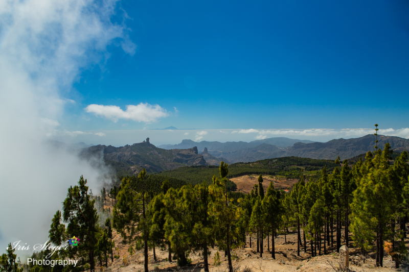 Pico de las Nieves (