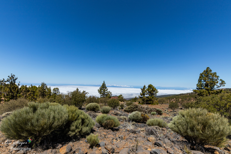 Parque Nacional del Teide