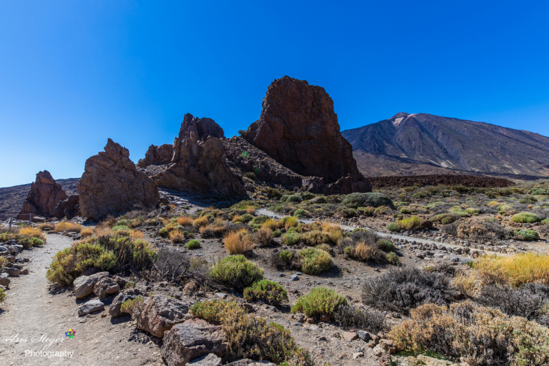 Parque Nacional del Teide