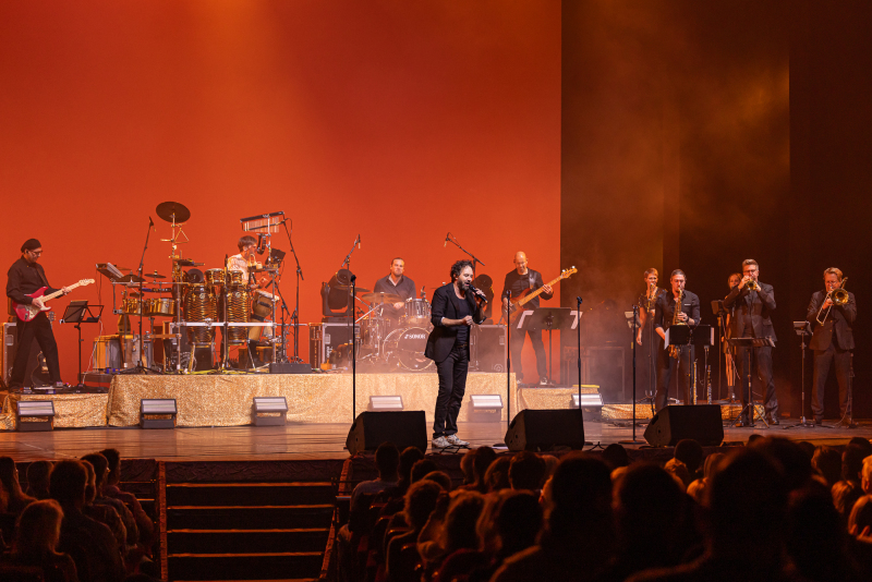 musicalpeople in Concert in Hamburg