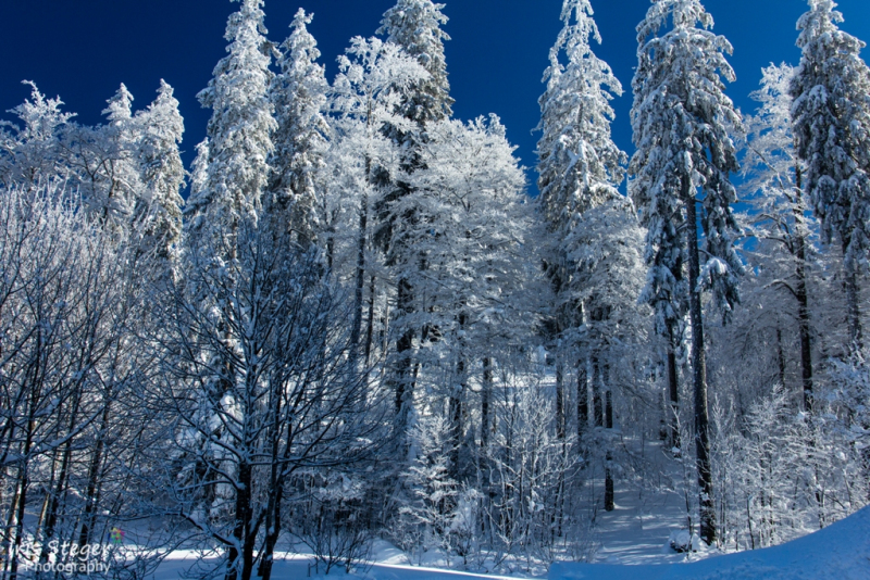 Winterlandschaft Feldberg
